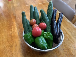 IMG_6935.JPG