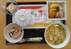 hV1.jpg