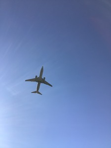 IMG_3282.JPG